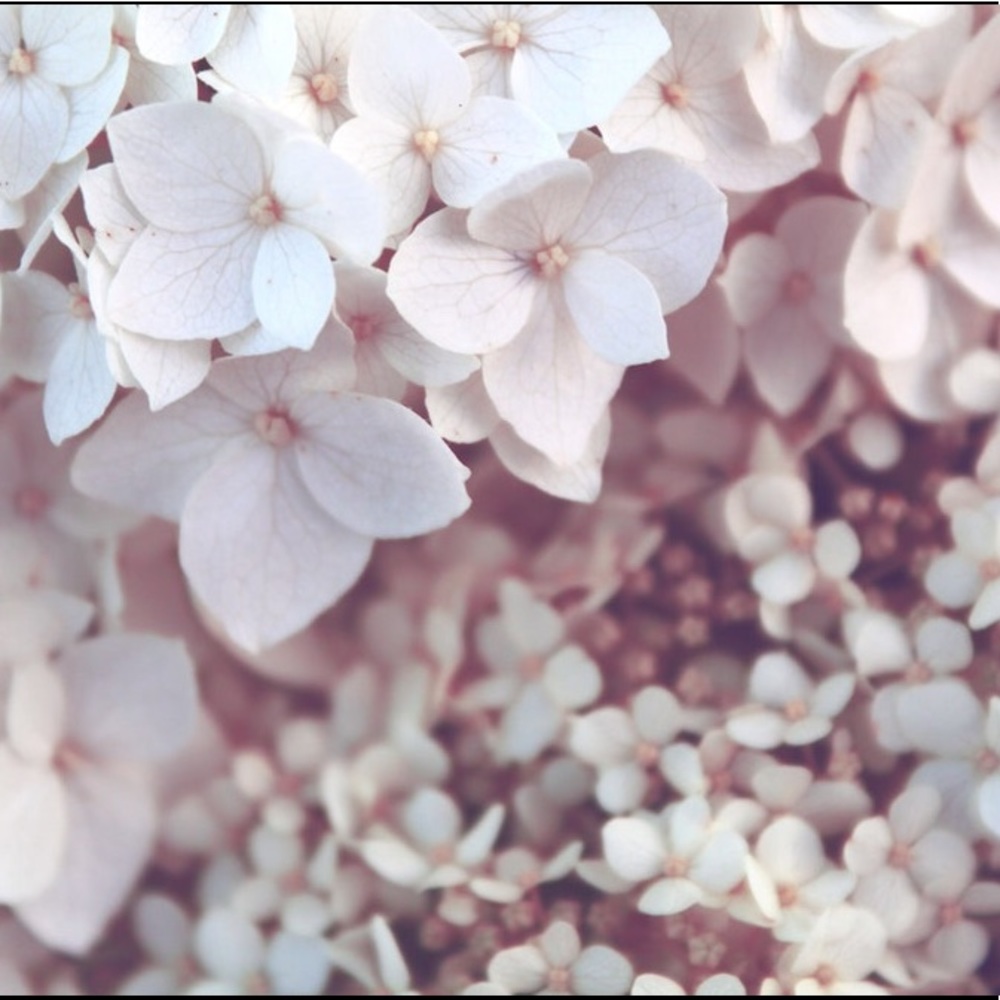 Meet your Posher, Isabelle